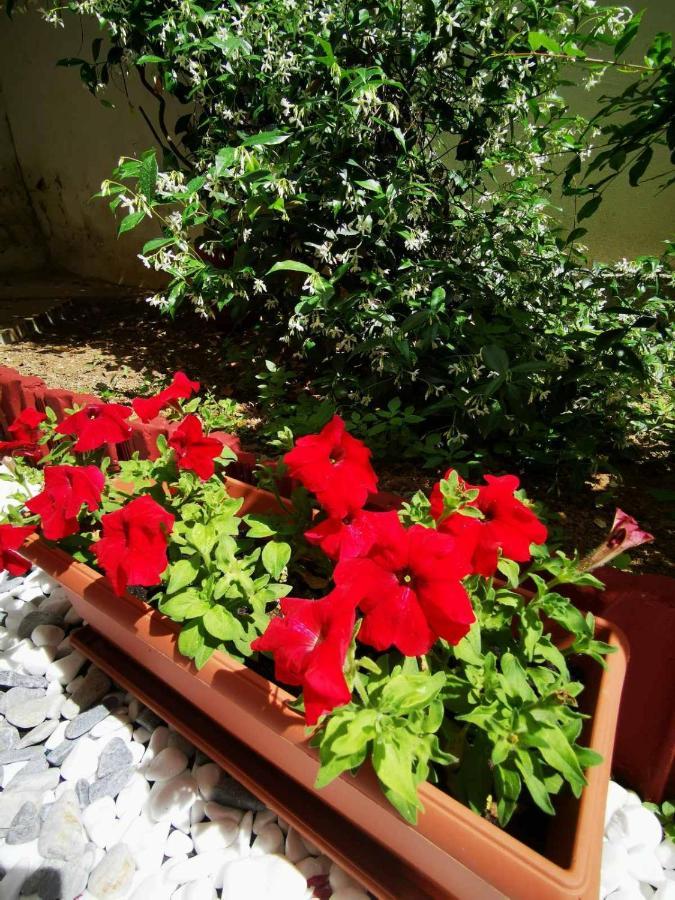 Hermes Modern Apartment Alexandroupoli Exterior photo